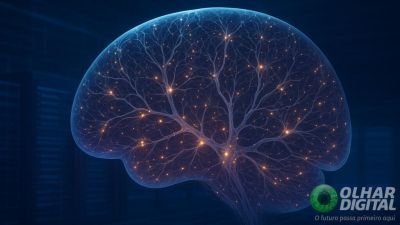 Cérebro humano pode ser o “HD” mais eficiente que conhecemos
