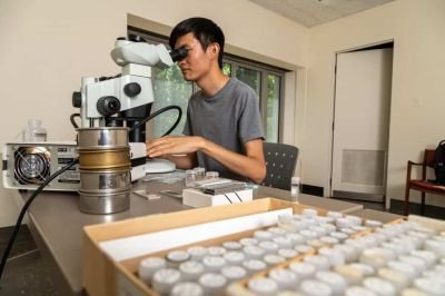 Mistério de 113 milhões de anos é solucionado graças a fósseis microscópicos