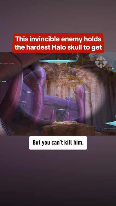Only Sharp Shooters Get This Halo Skull