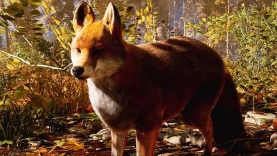 Hunting Simulator 3 - Official Release Date Trailer