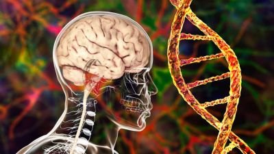 Superlaboratório brasileiro revela segredo de proteína ligada à DCJ