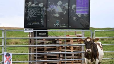 A Cow Is Playing One Of The Most Complex Games Ever On Twitch Right Now