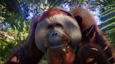 Planet Zoo 2 - Official Animal Spotlight: Sumatran Orangutan Trailer